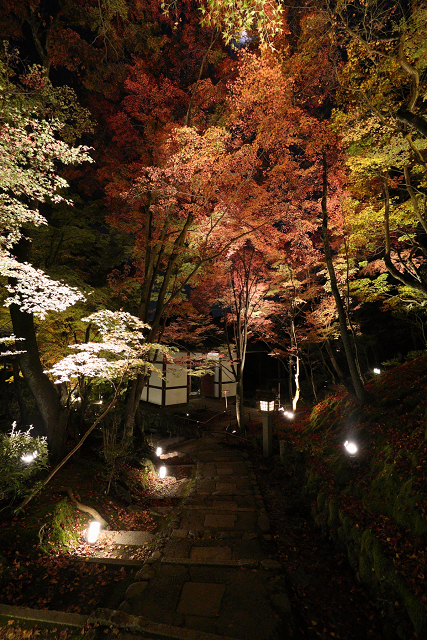 紅葉の京都2015 －常寂光寺 紅葉特別ライトアップ（後編）－_b0169330_16442055.jpg