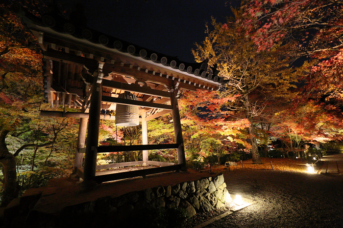 紅葉の京都2015 －常寂光寺 紅葉特別ライトアップ（後編）－_b0169330_16445995.jpg