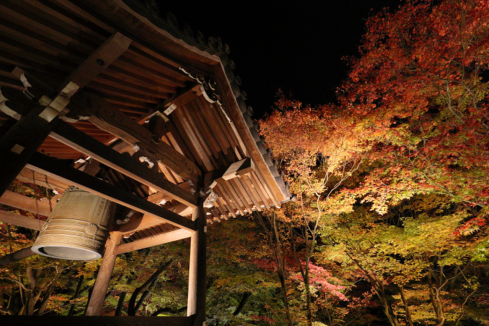 紅葉の京都2015 －常寂光寺 紅葉特別ライトアップ（後編）－_b0169330_16471422.jpg