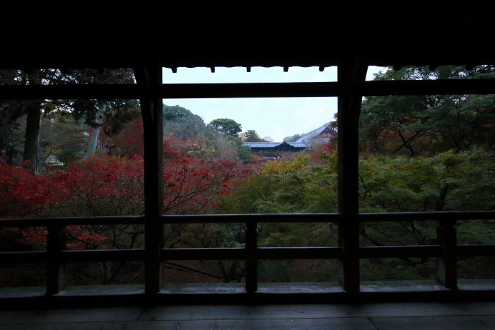 紅葉の京都15 東福寺 早朝特別拝観 前編 memory of kyotolife 紅葉の京都15 東福寺 早朝特別拝観 前編 memory of kyotolife