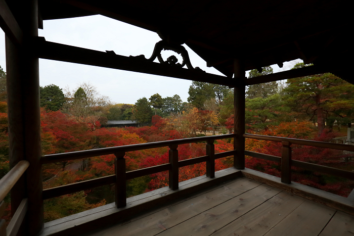 紅葉の京都15 東福寺 早朝特別拝観 前編 ｍｅｍｏｒｙ ｏｆ ｋｙｏｔｏｌｉｆｅ