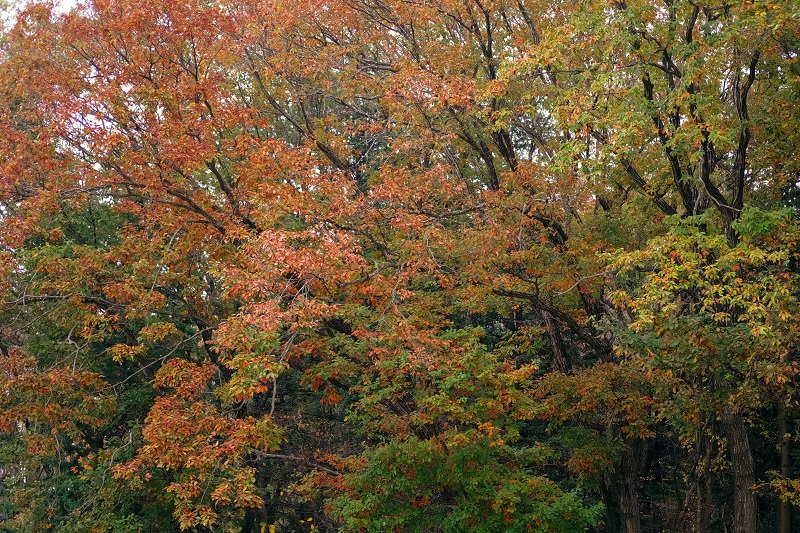 b0230131_821384.jpg
