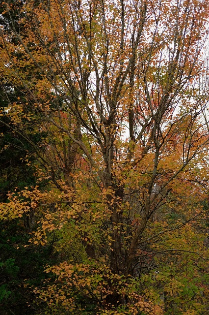 b0230131_822179.jpg