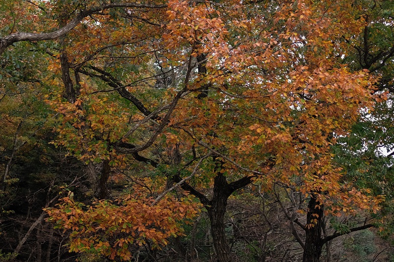 b0230131_822597.jpg