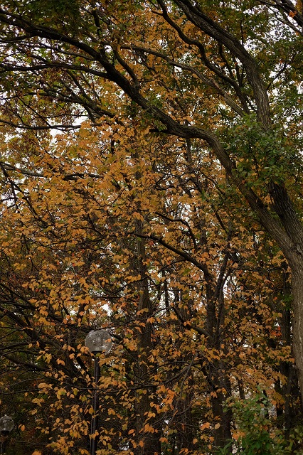 b0230131_8311521.jpg