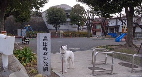 a0117039_22433659.jpg