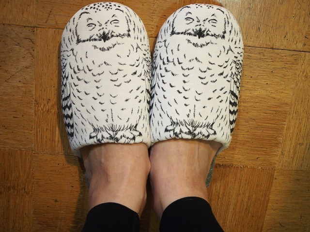 フェリシモyou More ふくろうスリッパの会 がかわいかった Buen Viaje ブエン ビアーへ 旅と猫