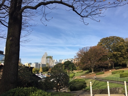 代々木上原から原宿まで歩く ２ 代々木公園 散歩ガイド
