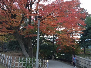 金沢GO 2015_f0233340_16594432.jpg