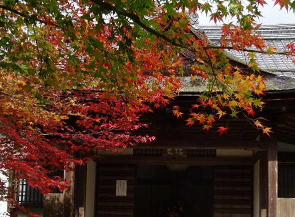 湖東三山・金剛輪寺の紅葉_b0299042_8585458.jpg