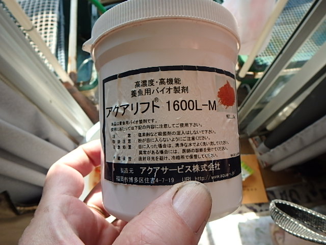 f0334143_1031153.jpg