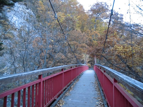 b0126048_17544151.jpg