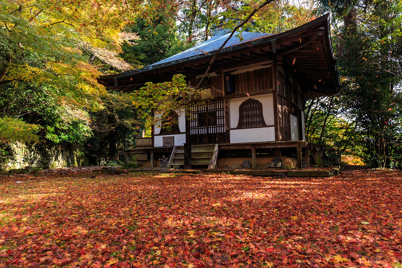 京都の紅葉2015・落葉積もる金蔵寺_f0155048_22453127.jpg