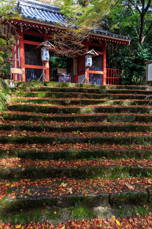 京都の紅葉2015・落葉積もる金蔵寺_f0155048_22453985.jpg