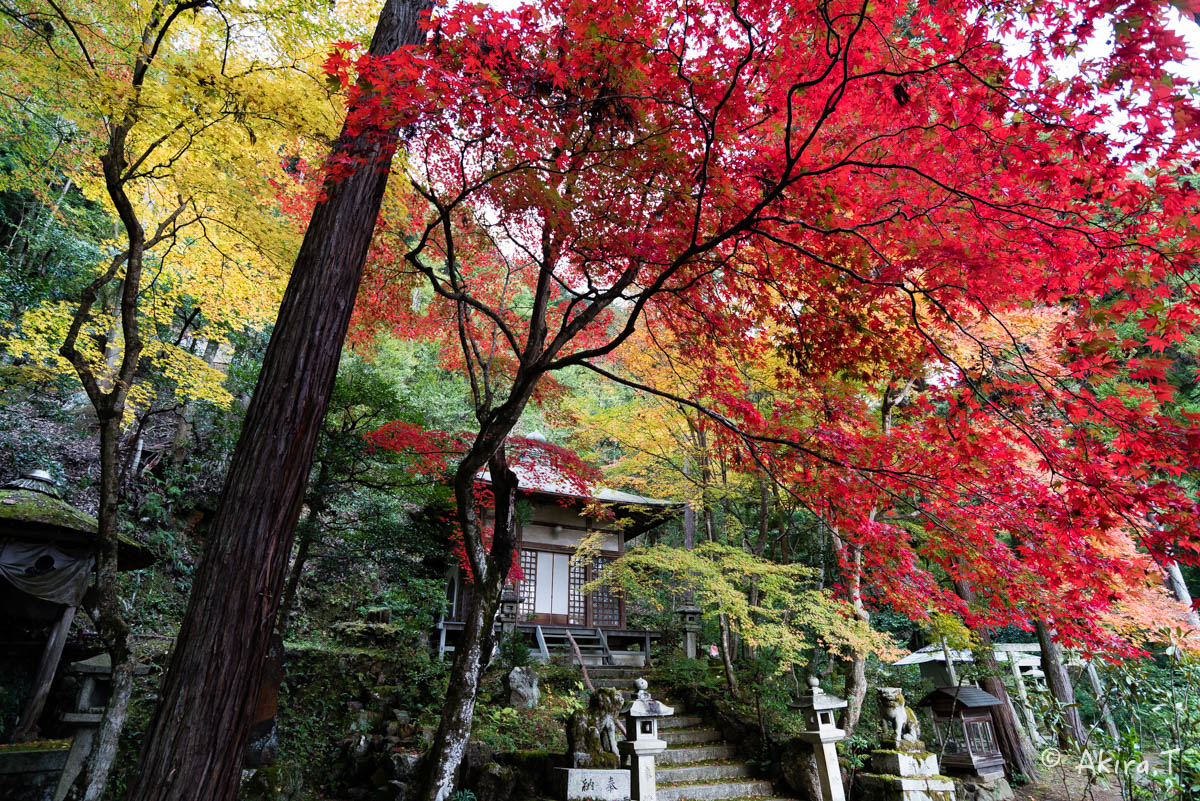 京都・嵯峨野の紅葉 2015 〜護法堂弁財天〜 2_f0152550_15667.jpg