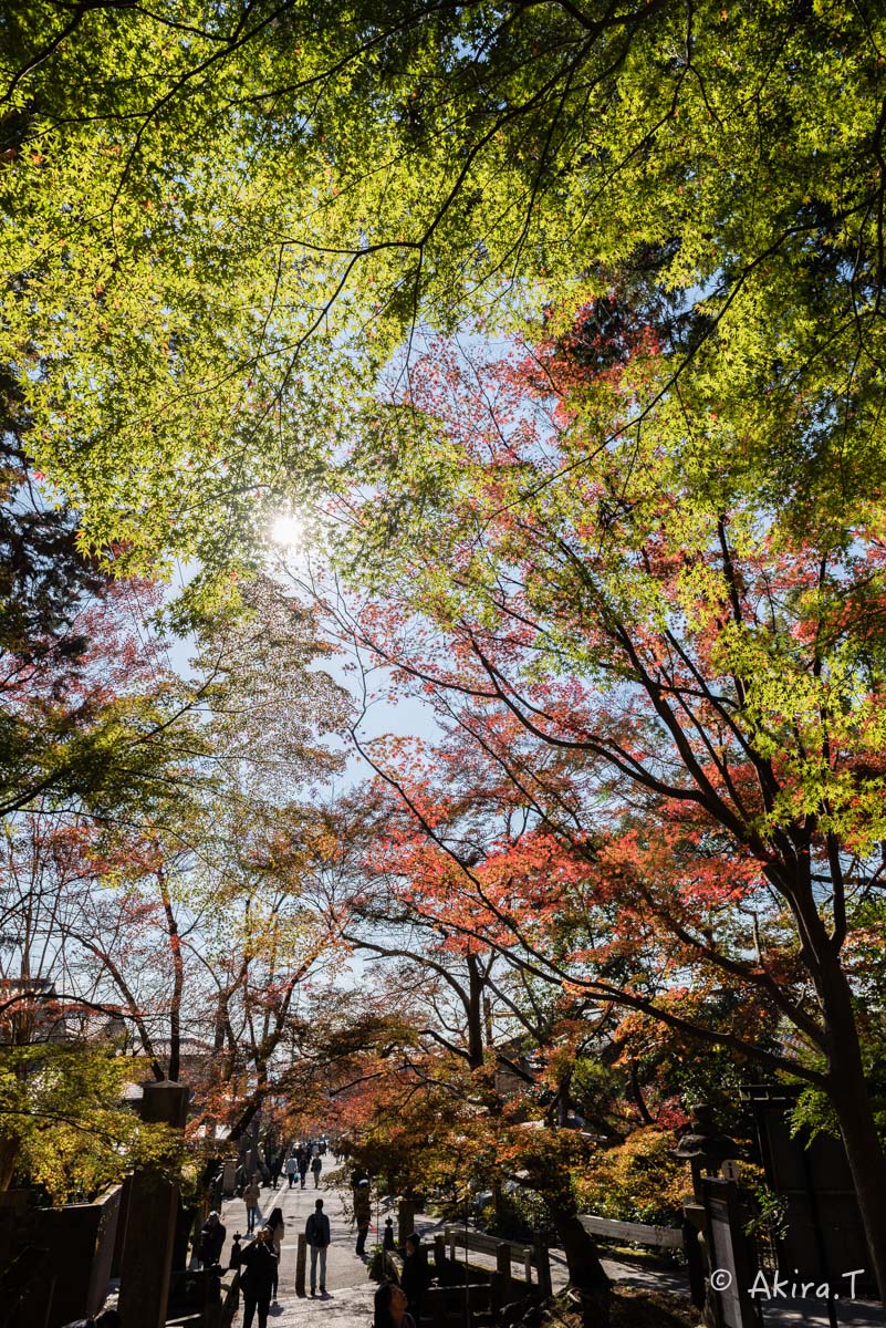 京都・山科の紅葉 2015 〜毘沙門堂〜 1_f0152550_18515848.jpg