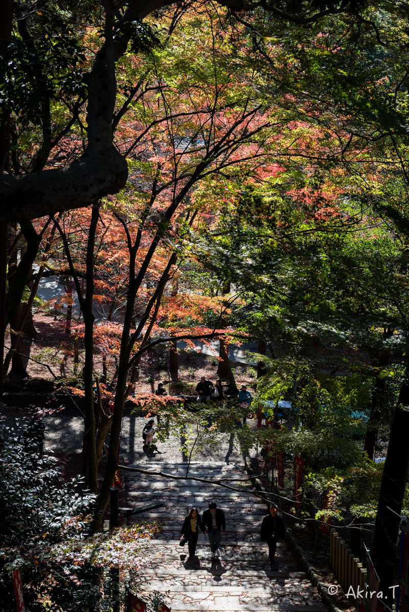 京都・山科の紅葉 2015 〜毘沙門堂〜 1_f0152550_1852224.jpg