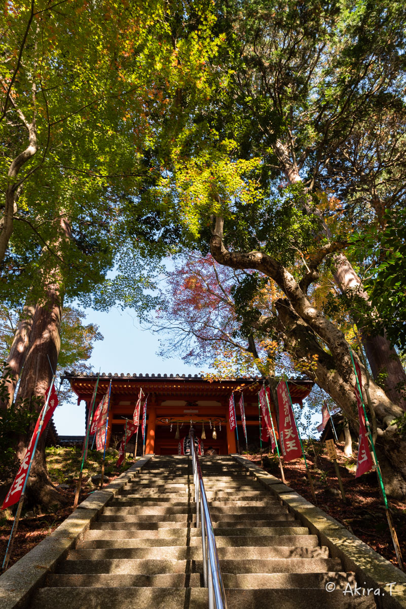 京都・山科の紅葉 2015 〜毘沙門堂〜 1_f0152550_1852914.jpg