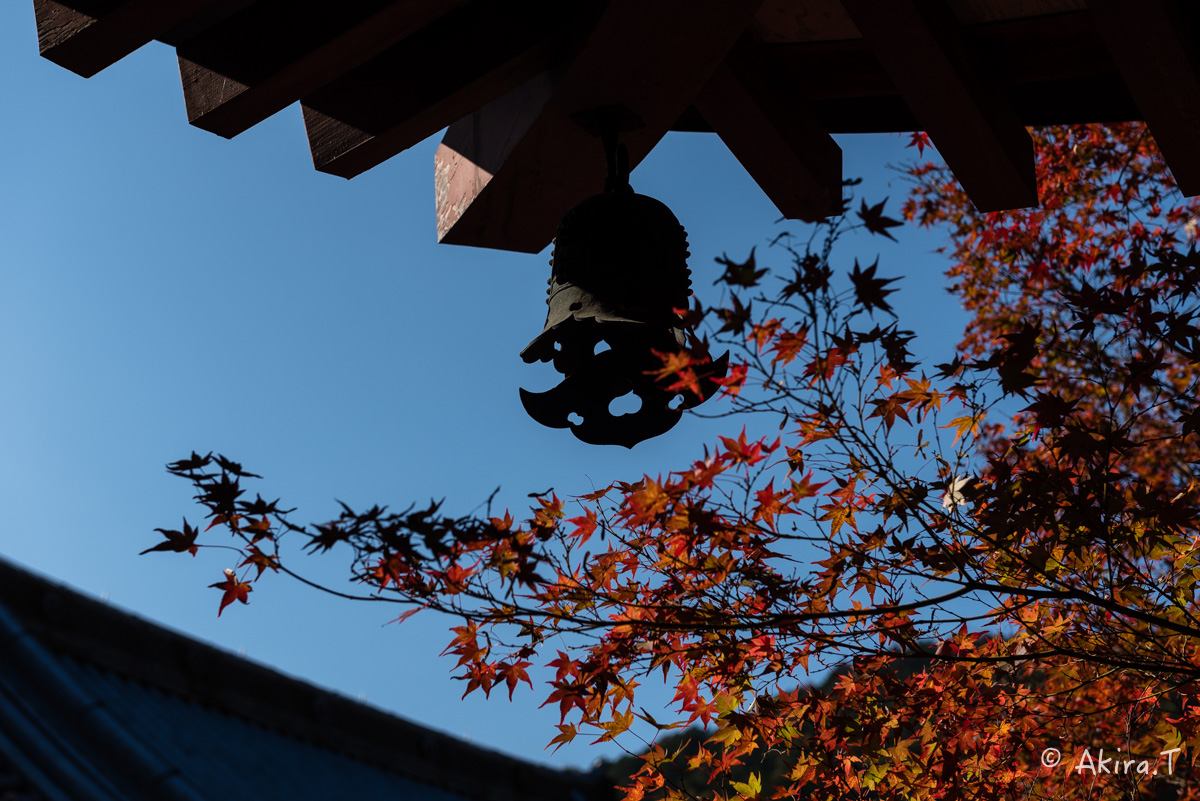 京都・山科の紅葉 2015 〜毘沙門堂〜 1_f0152550_18541212.jpg