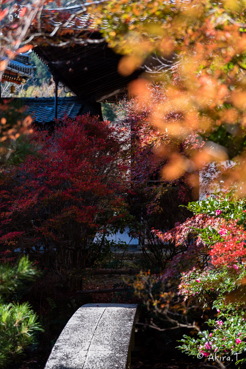 京都・山科の紅葉 2015 〜毘沙門堂〜 1_f0152550_18542491.jpg