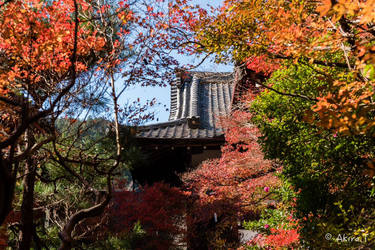 京都・山科の紅葉 2015 〜毘沙門堂〜 1_f0152550_18545083.jpg