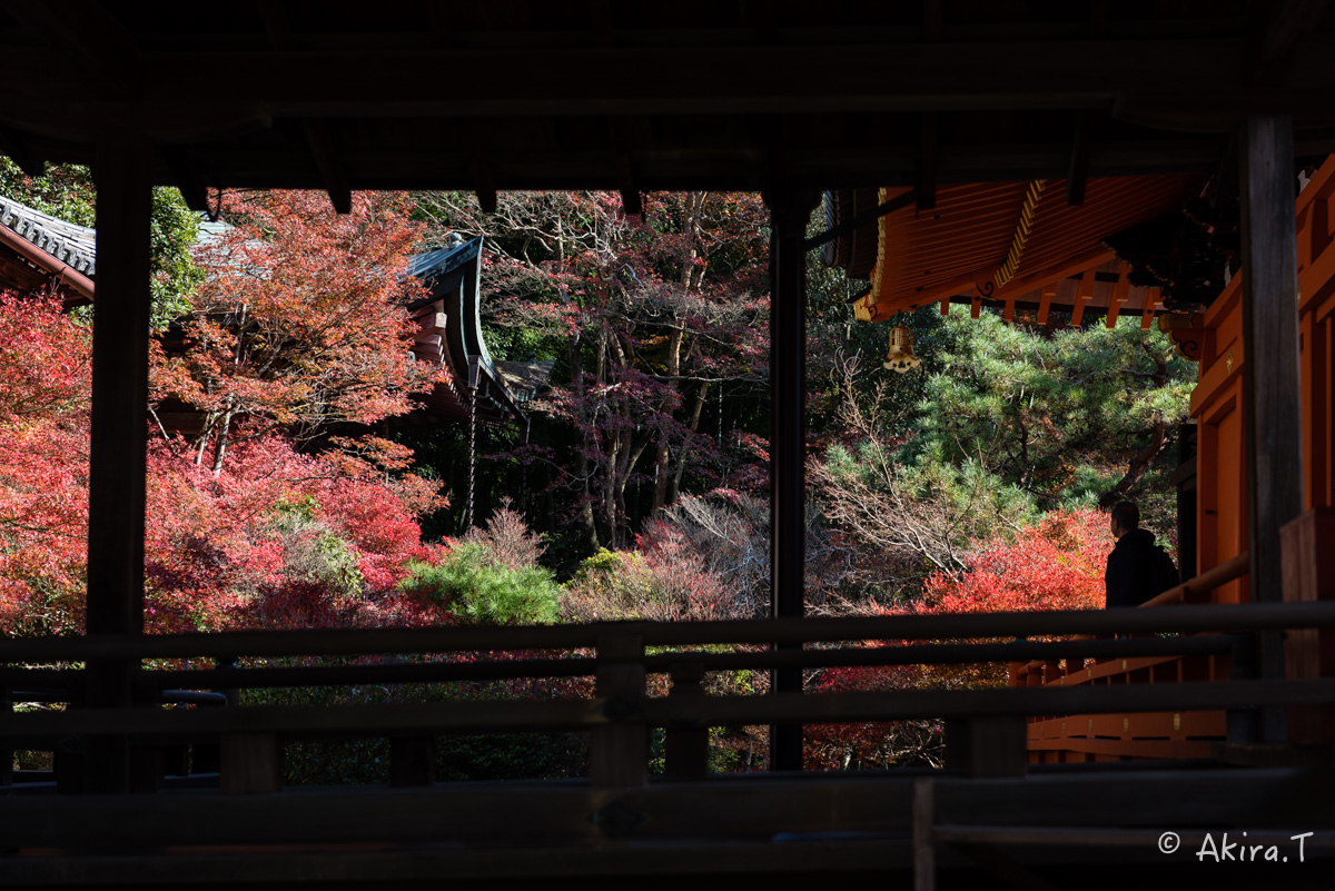 京都・山科の紅葉 2015 〜毘沙門堂〜 1_f0152550_18551882.jpg