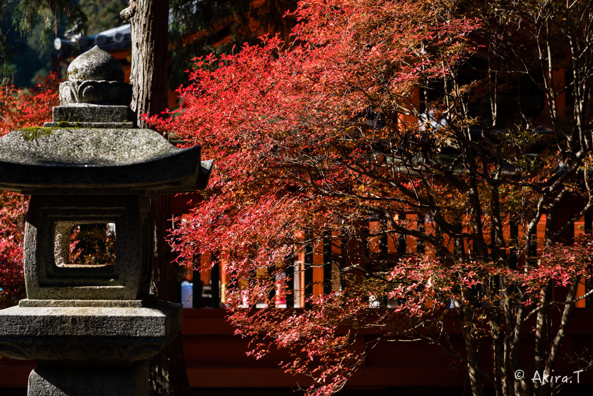 京都・山科の紅葉 2015 〜毘沙門堂〜 1_f0152550_18553100.jpg