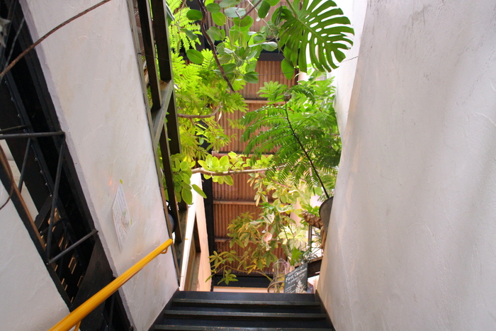 e0232054_20122426.jpg