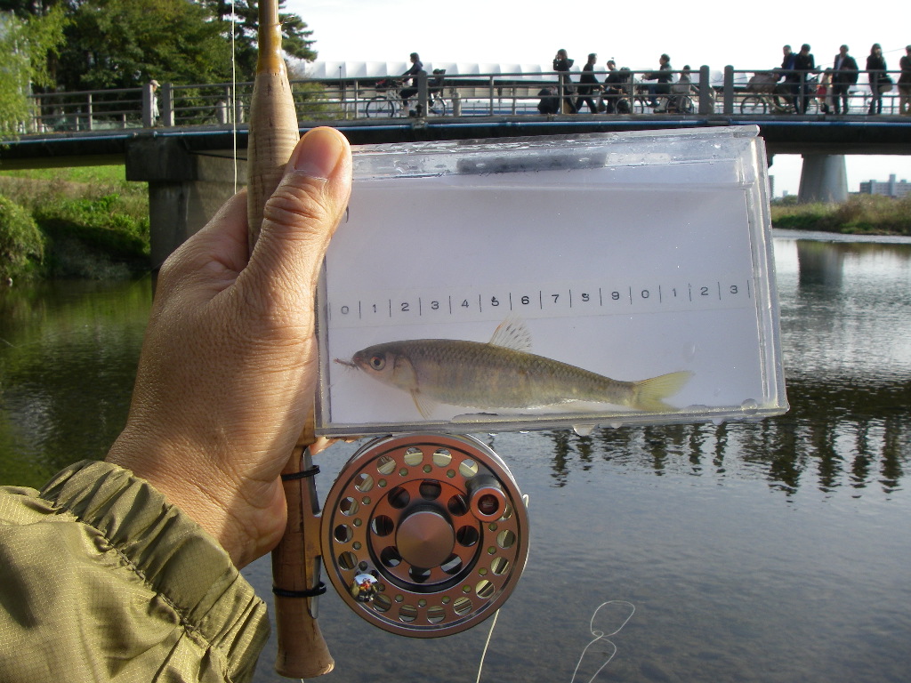 a0130057_18335760.jpg