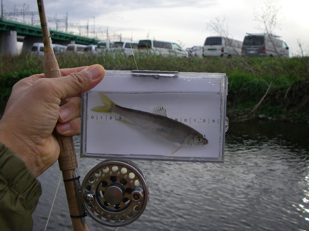 a0130057_18405522.jpg