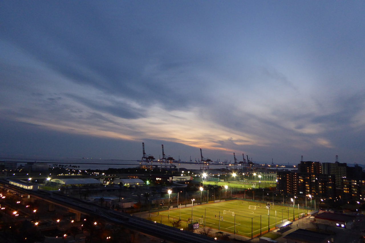 ブーゲンビレア、シコンノボタン、ツバキ、夕景、天保山大観覧車、王子公園観覧車_a0030958_23234816.jpg