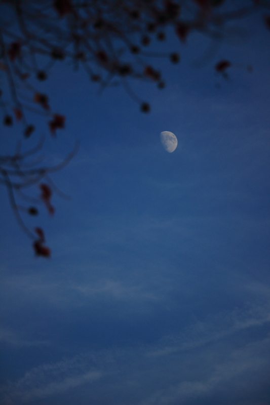c0272958_064026.jpg