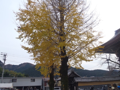 11/29HD知立ツーリング無事終了!。_b0317459_17354998.jpg