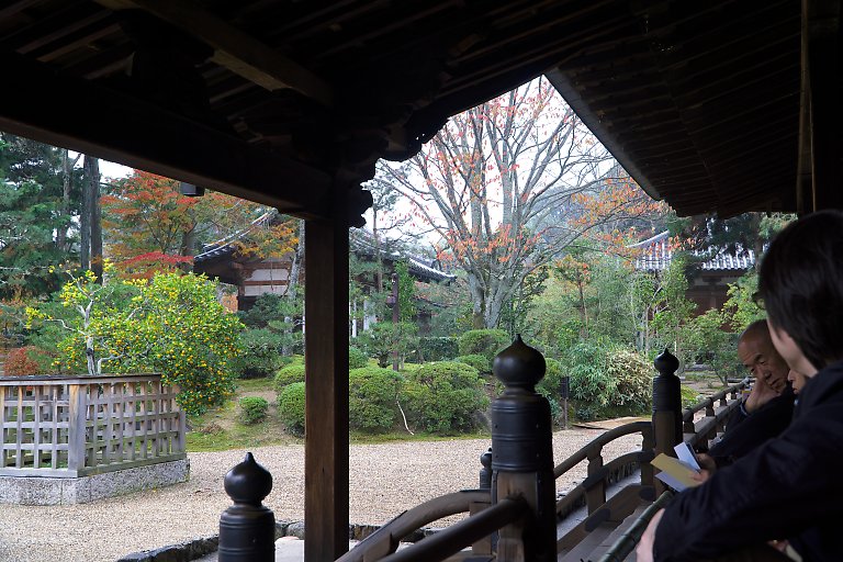 奈良　唐招提寺（１１月２３日）_c0057265_2555510.jpg