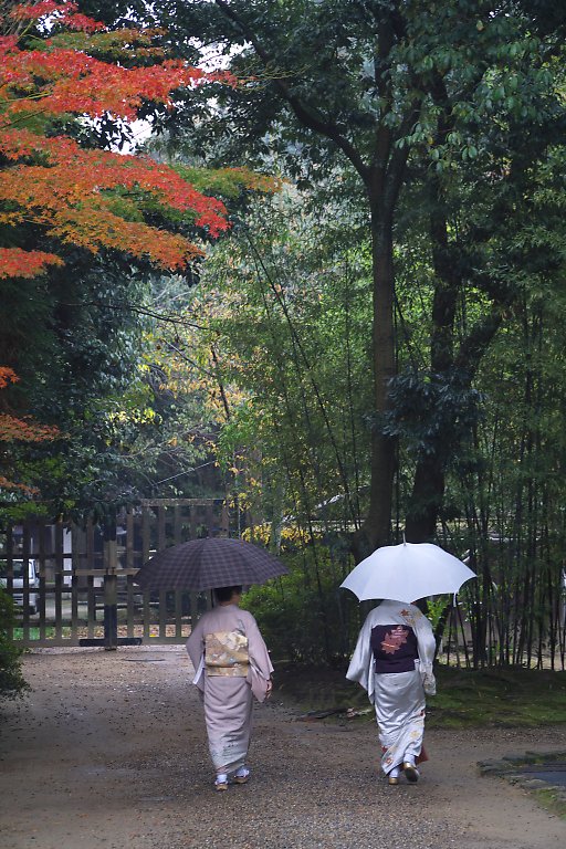 奈良　唐招提寺（１１月２３日）_c0057265_2563568.jpg