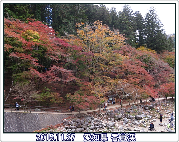 香嵐渓・小原四季桜・世界遺産 白川郷と飛騨高山２日間・・また大失敗！_a0052666_23343546.jpg