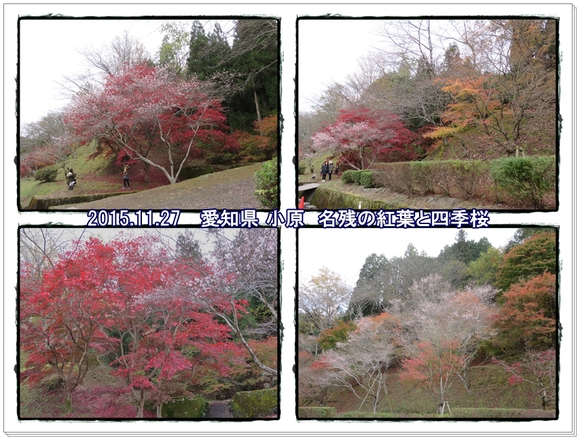 香嵐渓・小原四季桜・世界遺産 白川郷と飛騨高山２日間・・また大失敗！_a0052666_23363868.jpg