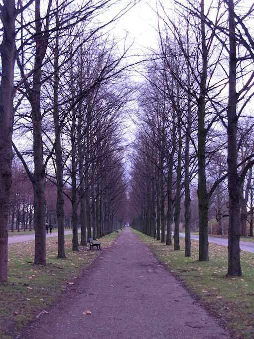 e0357367_152538.jpg
