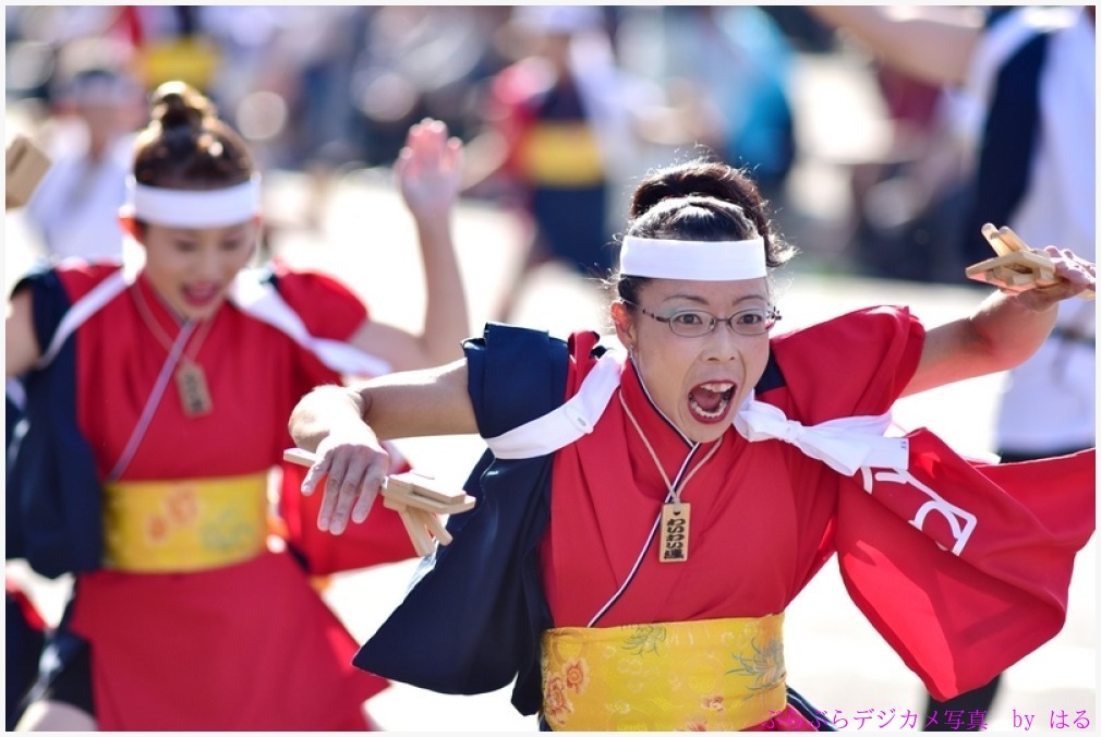 つるせよさこい祭り　2015　（14）　わいわい連_b0104774_23060994.jpg