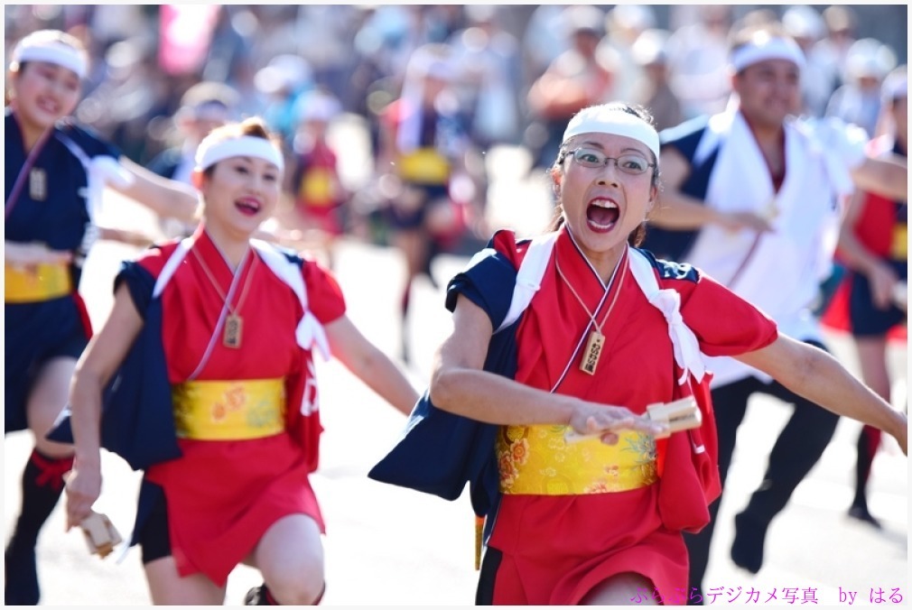 つるせよさこい祭り　2015　（14）　わいわい連_b0104774_23061249.jpg