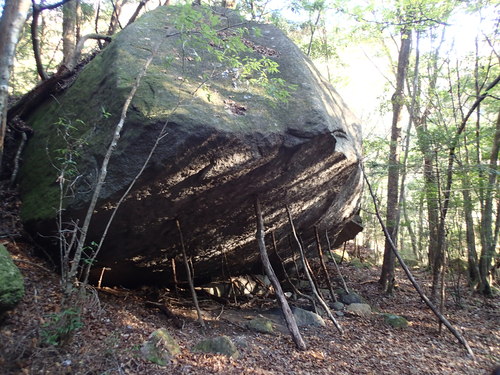 f0223480_9443.jpg
