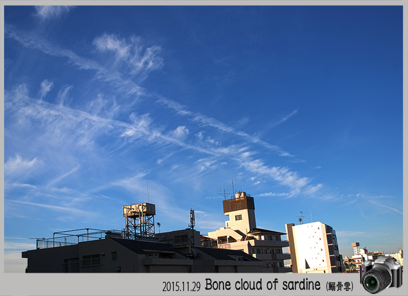 「空と雲と太陽と」鰯骨雲．．_c0009981_14534457.jpg