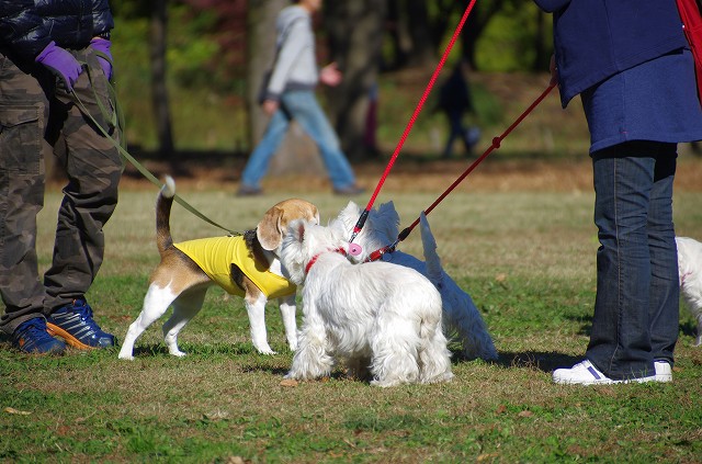 相模原公園でお散歩♪_f0169884_13483298.jpg