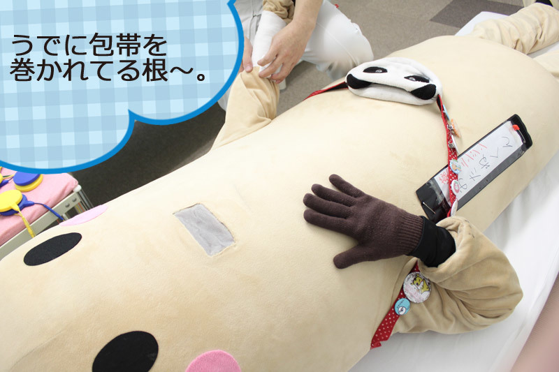 おたねくんがいく根!「中央つちや整骨院」に行ってきた根~!_d0250986_15481488.jpg