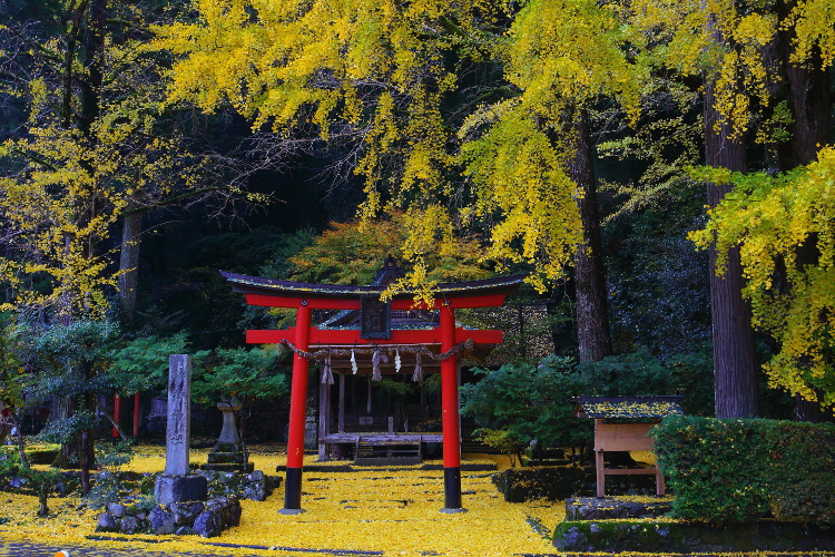 岩戸落葉神社_e0051888_4423689.jpg