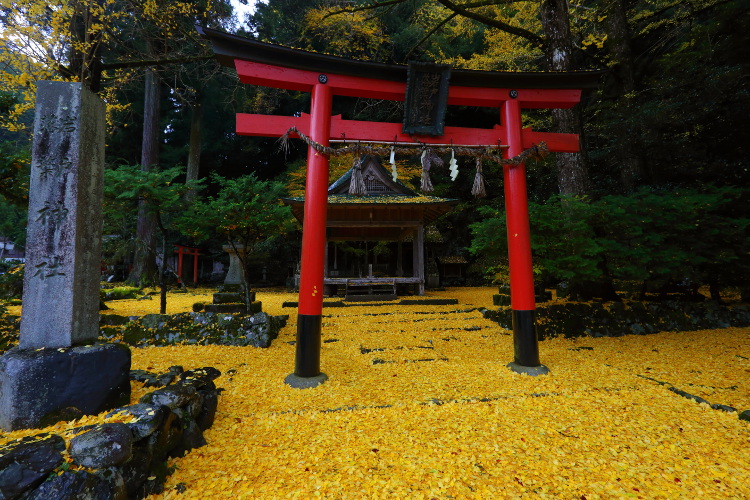 岩戸落葉神社_e0051888_4425269.jpg