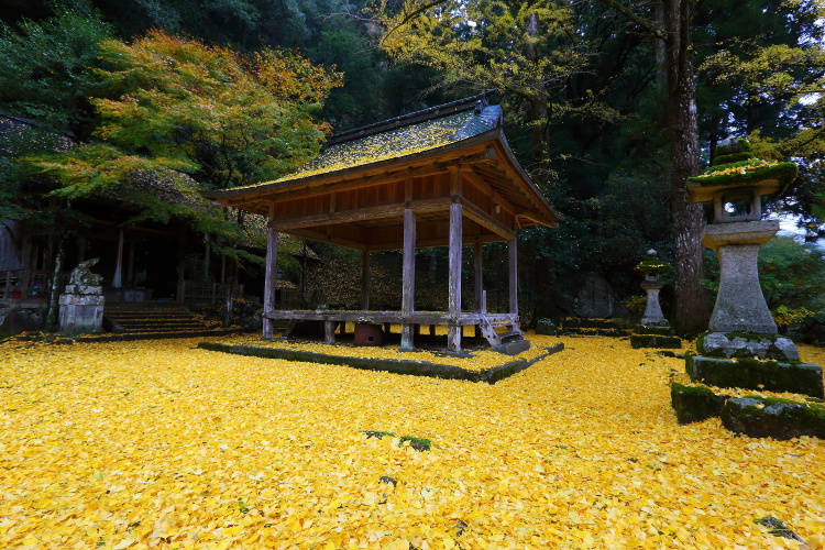 岩戸落葉神社_e0051888_4432963.jpg