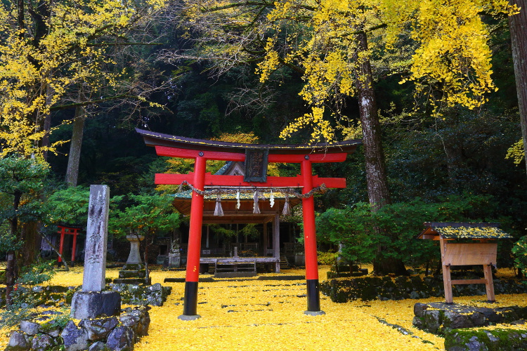 岩戸落葉神社_e0051888_4434270.jpg