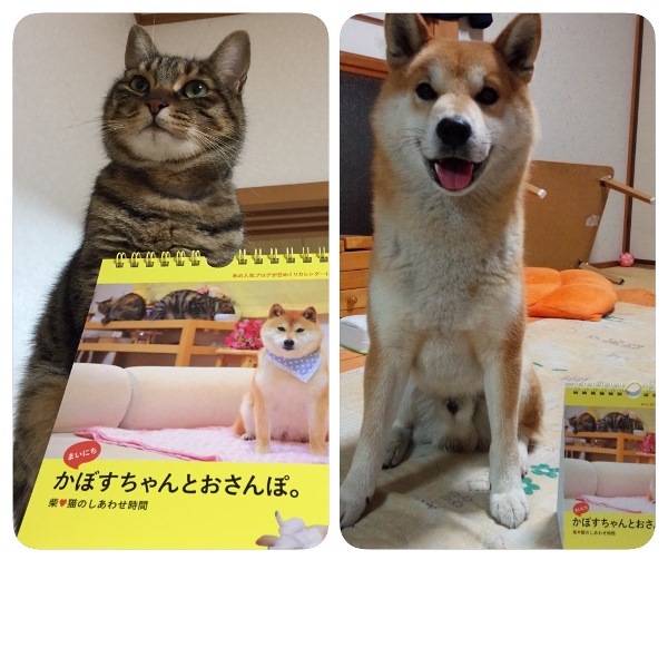誘惑_a0126590_22404193.jpg