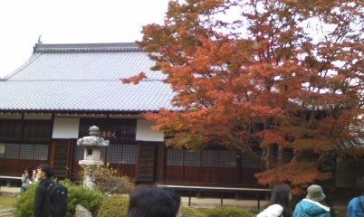 b0205694_773037.jpg